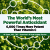 Bonus Report: The World's Most Powerful Antioxidant